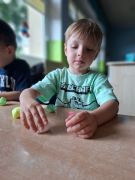 większy obrazek nr 3