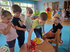 większy obrazek nr 19